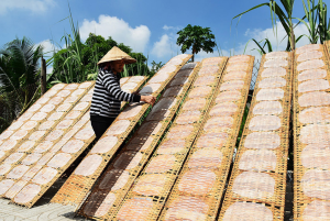 nguyen-lieu-lam-banh-trang-phoi-suong